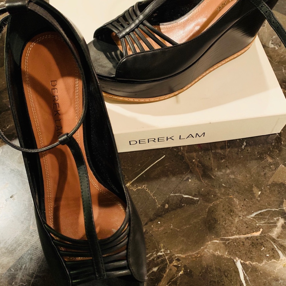 Derek Lam Wedge